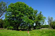 113_DSC0331