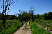 120_DSC0342