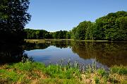 135_DSC0373