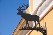145_DSC0395