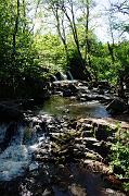153_DSC0410
