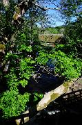 166_DSC0455