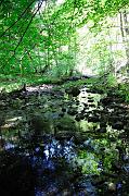 066_DSC4960
