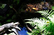 086_DSC5005