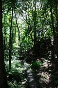 087_DSC5006