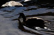 163_DSC5171