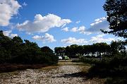 17_DSC6801