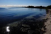 82_DSC6899