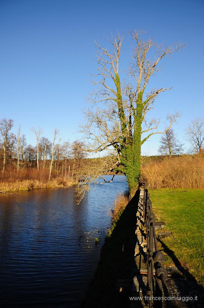 035_DSC9344.JPG