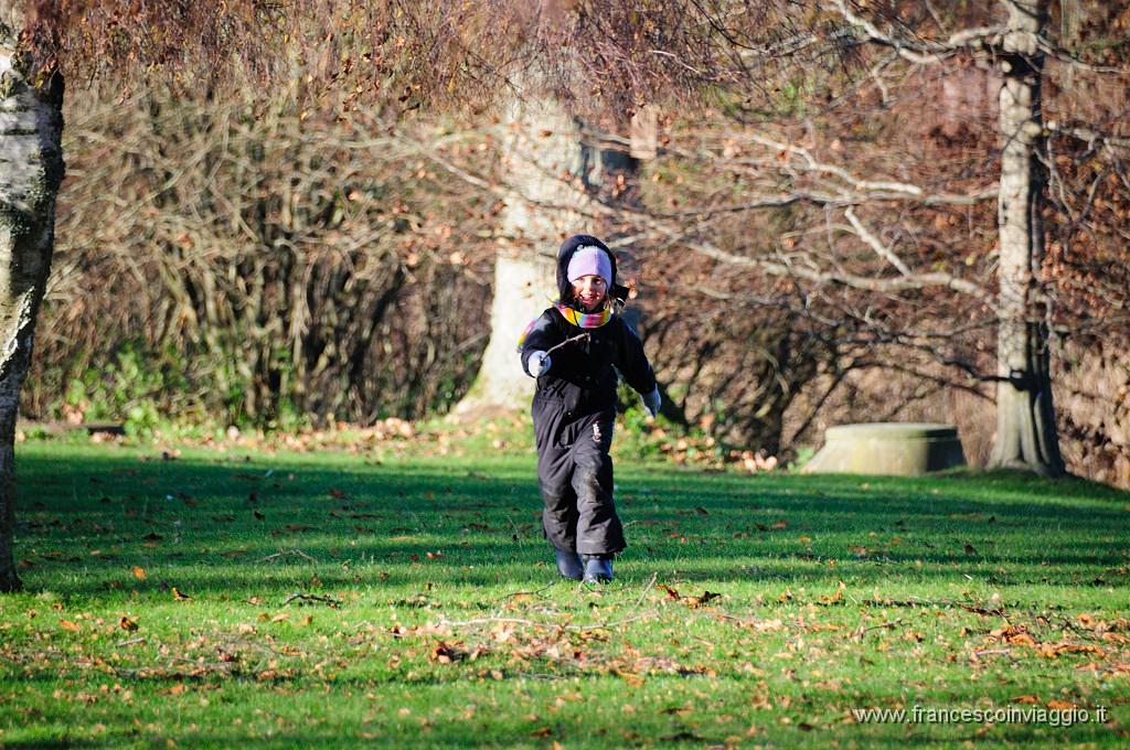 064_DSC9390.JPG