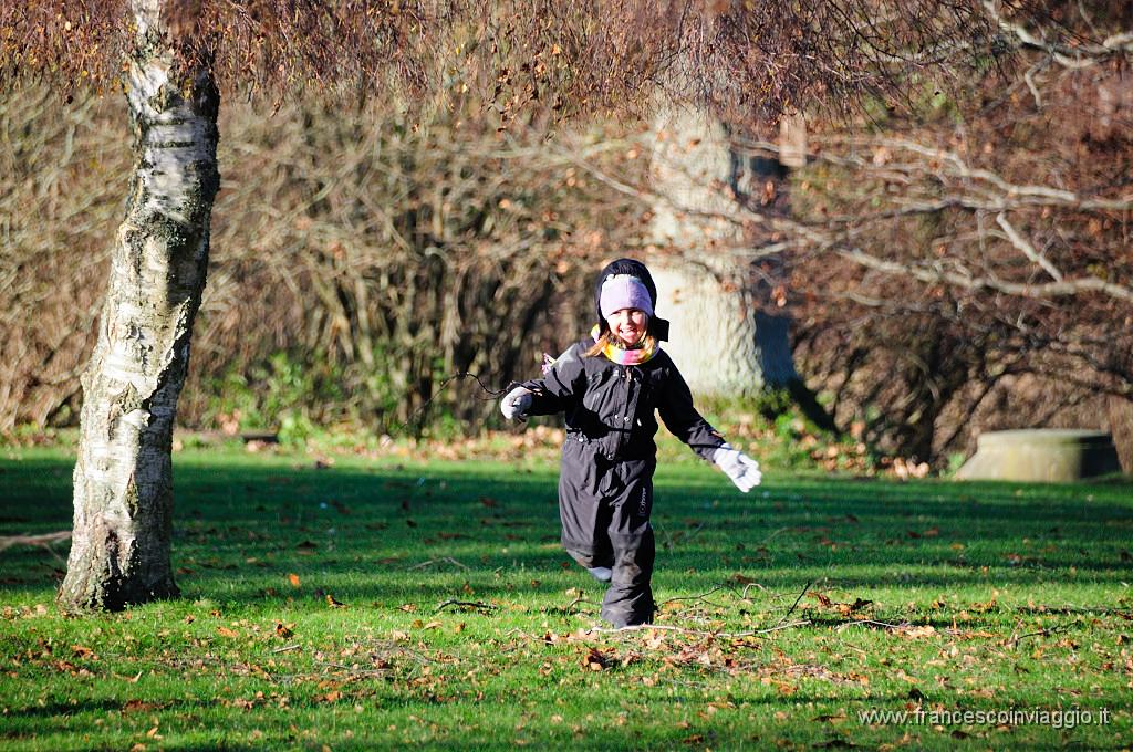 067_DSC9393.JPG