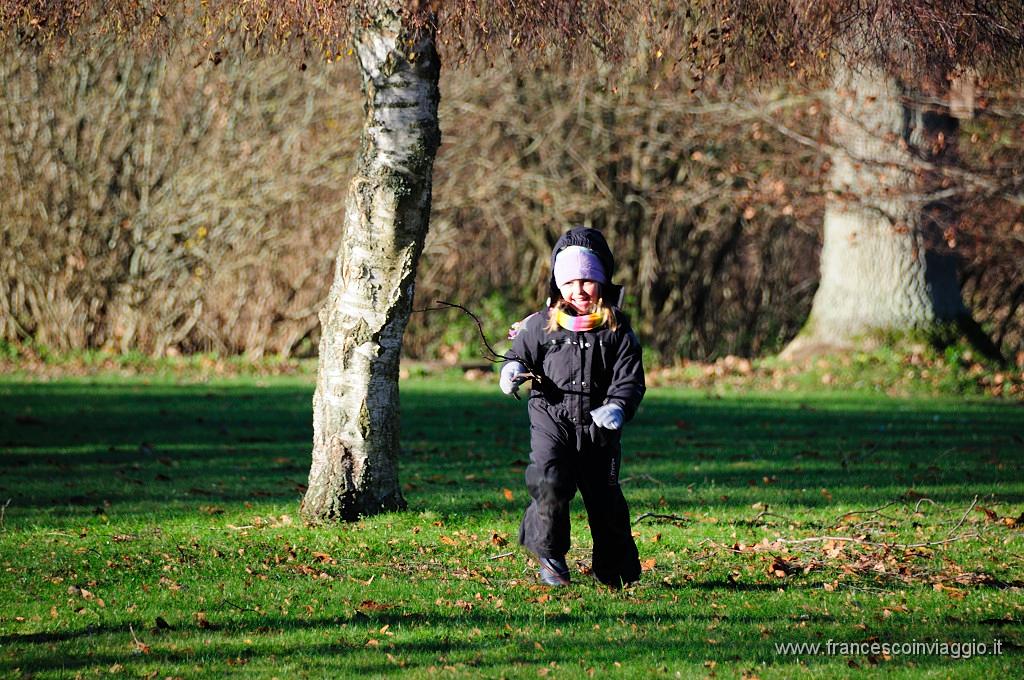 068_DSC9395.JPG