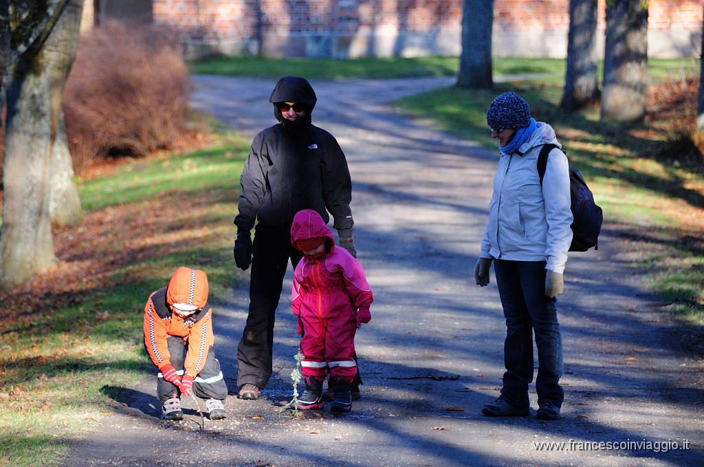 117_DSC9509.JPG