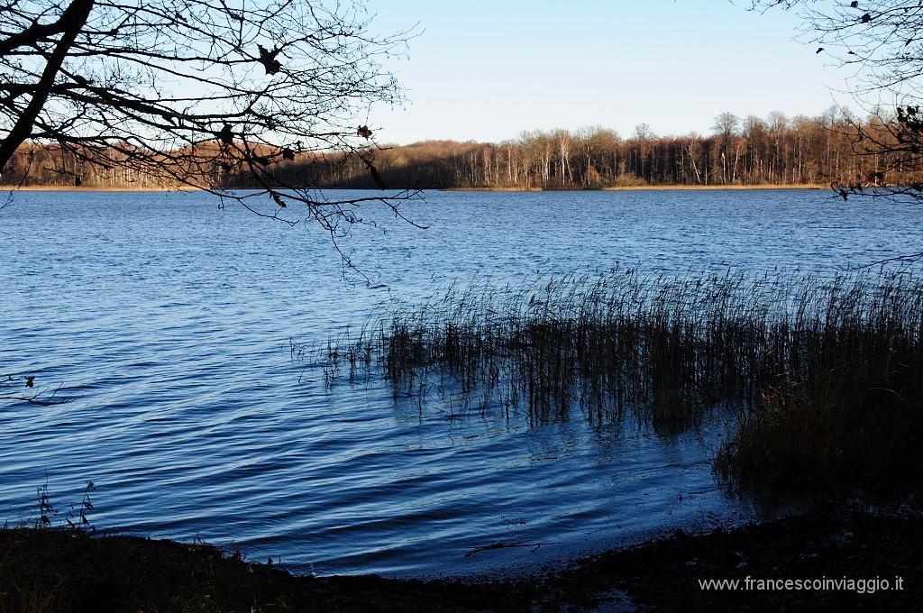 138_DSC9550.JPG