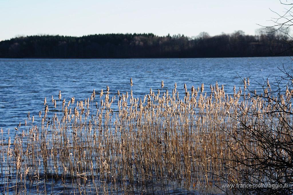 140_DSC9557.JPG