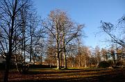 002_DSC9296