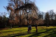 052_DSC9369