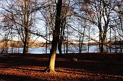 122_DSC9520