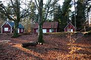 137_DSC9549