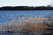 140_DSC9557