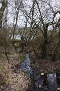 135_DSC6817