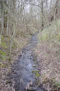 136_DSC6818