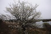 163_DSC6870