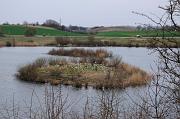 171_DSC6883