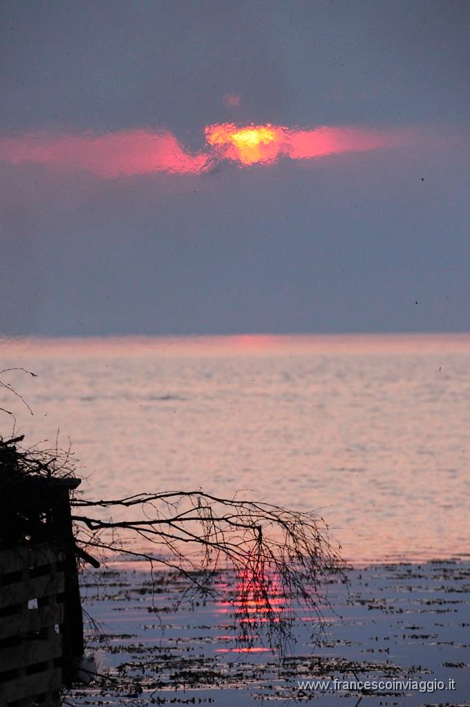 0105_DSC9451.JPG