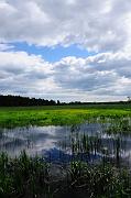 0168_DSC3816