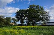 0350_DSC4157