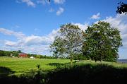 0358_DSC4167