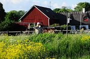 0366_DSC4196