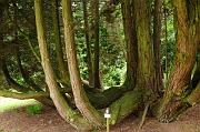 0042_DSC5199