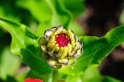 0133_DSC5390