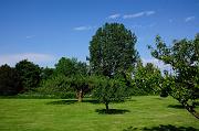 0277_DSC5662