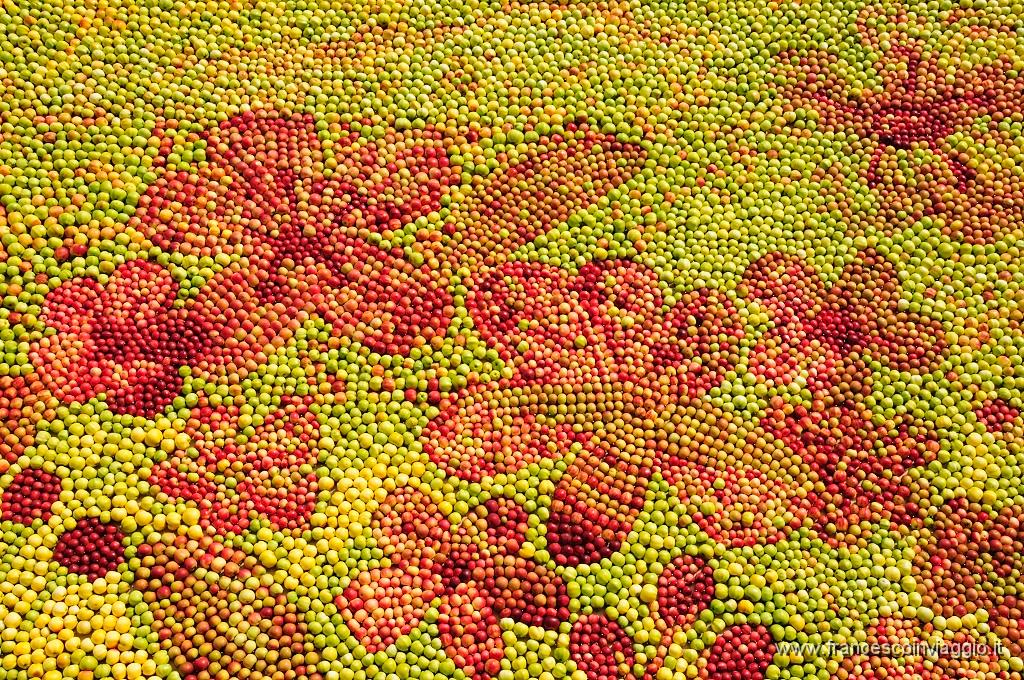 0065_DSC3589.JPG
