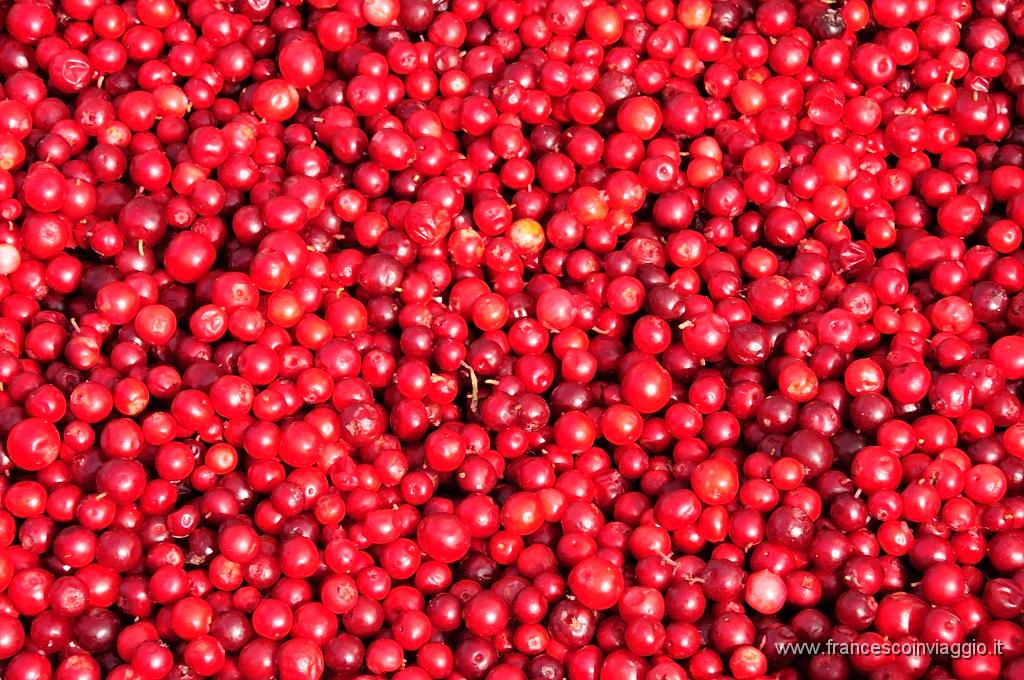 0103_DSC3677.JPG