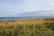 0018_DSC3493