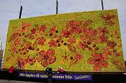 0092_DSC3649