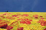 0141_DSC3786
