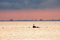 0013_DSC2447