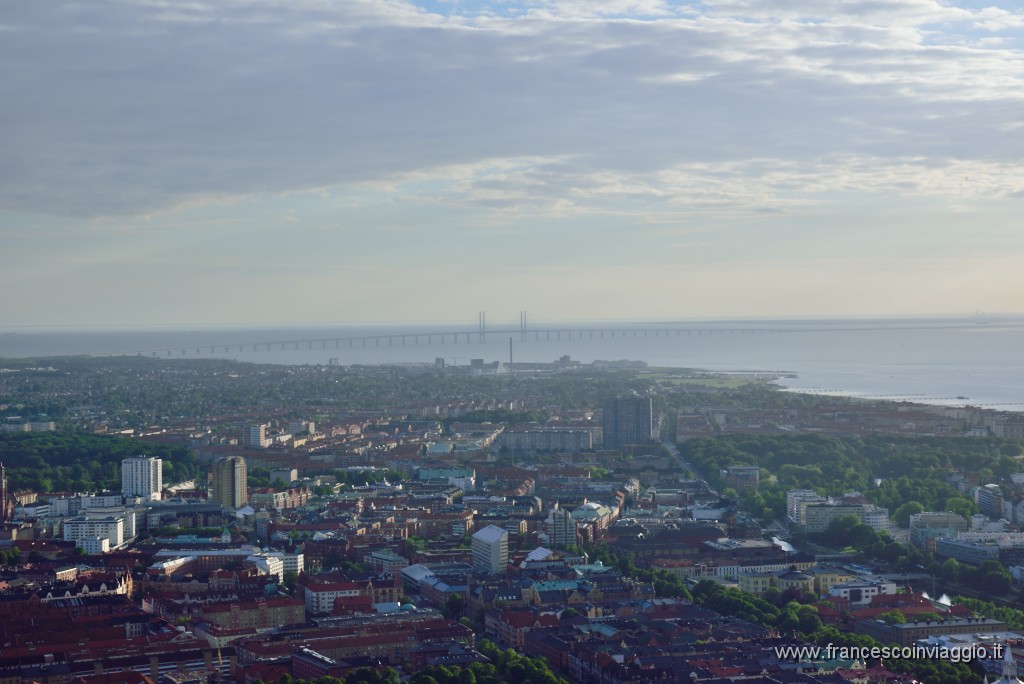DSC_0702.JPG