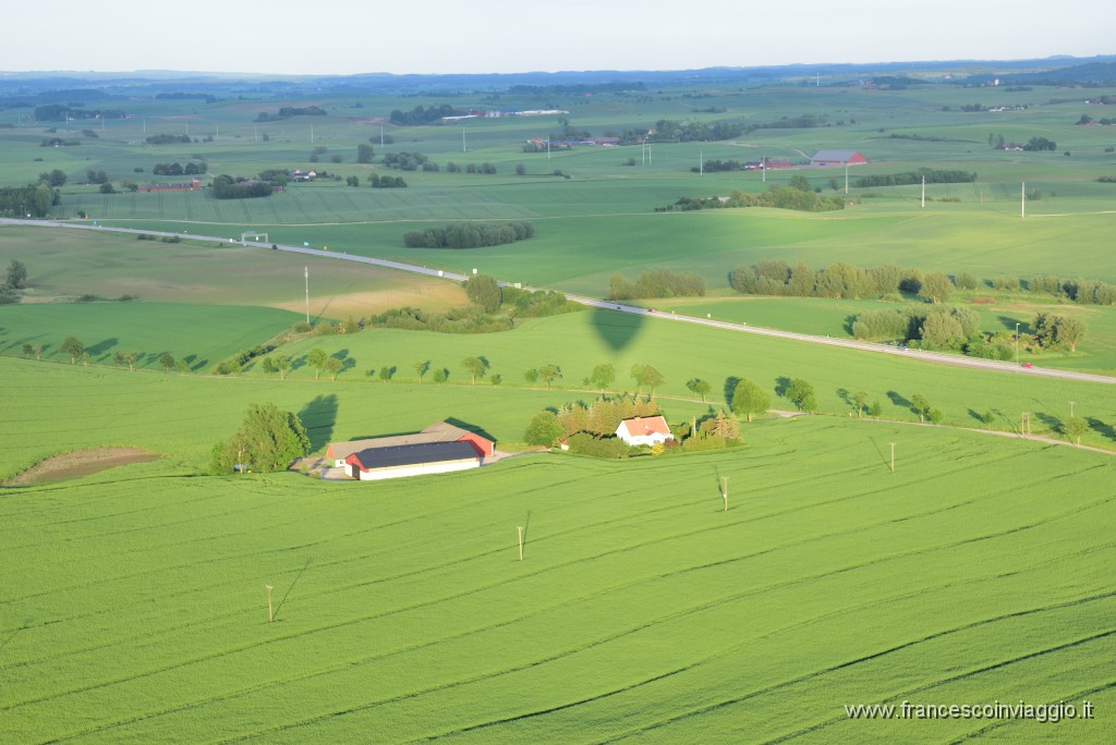 DSC_0799.JPG