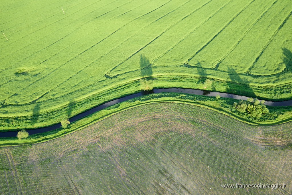 DSC_0804.JPG