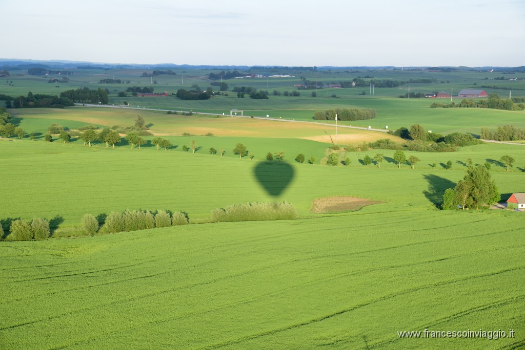 DSC_0810.JPG