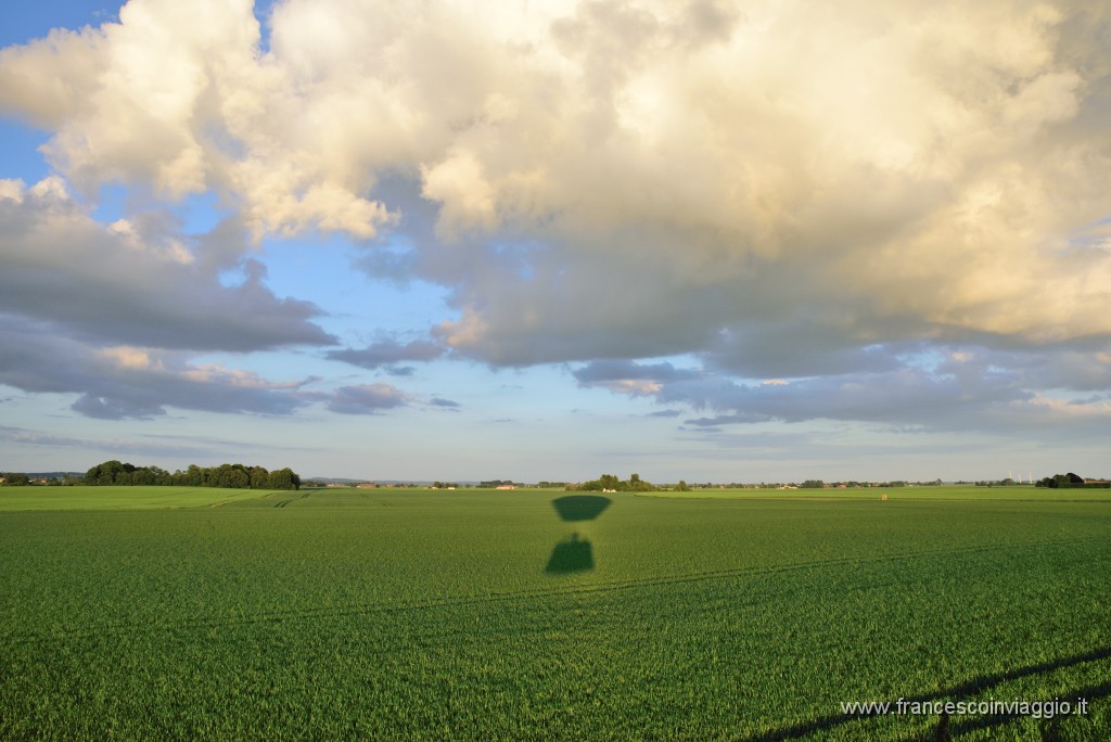 DSC_0874.JPG