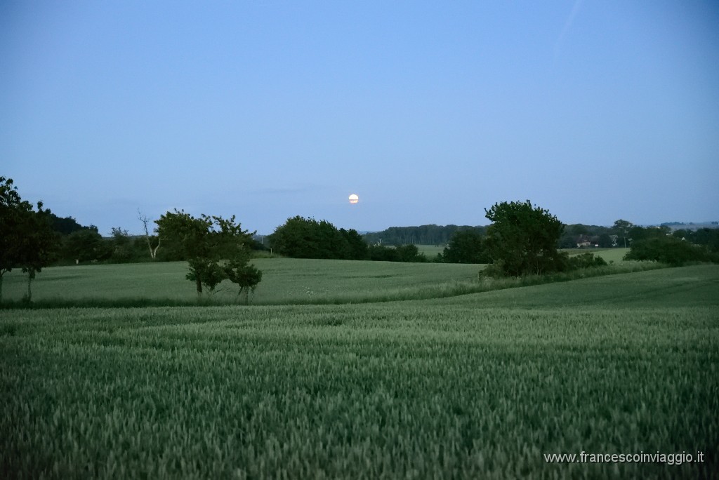 DSC_1061.JPG