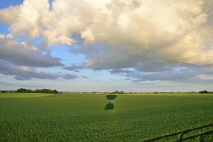 DSC_0874