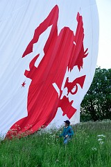 DSC_0916